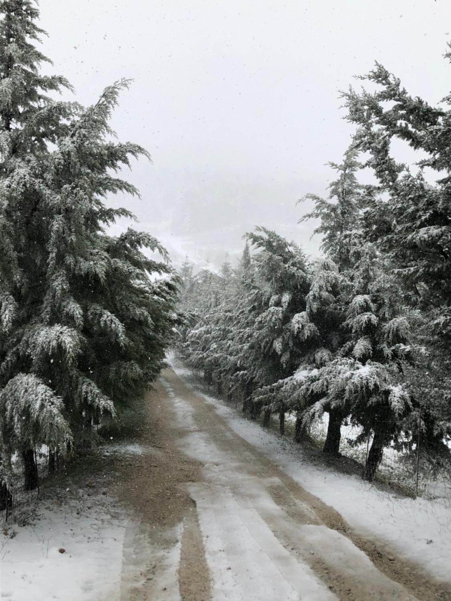 Agriturismo Serra Moneta Santo Stefano Quisquina Dış mekan fotoğraf