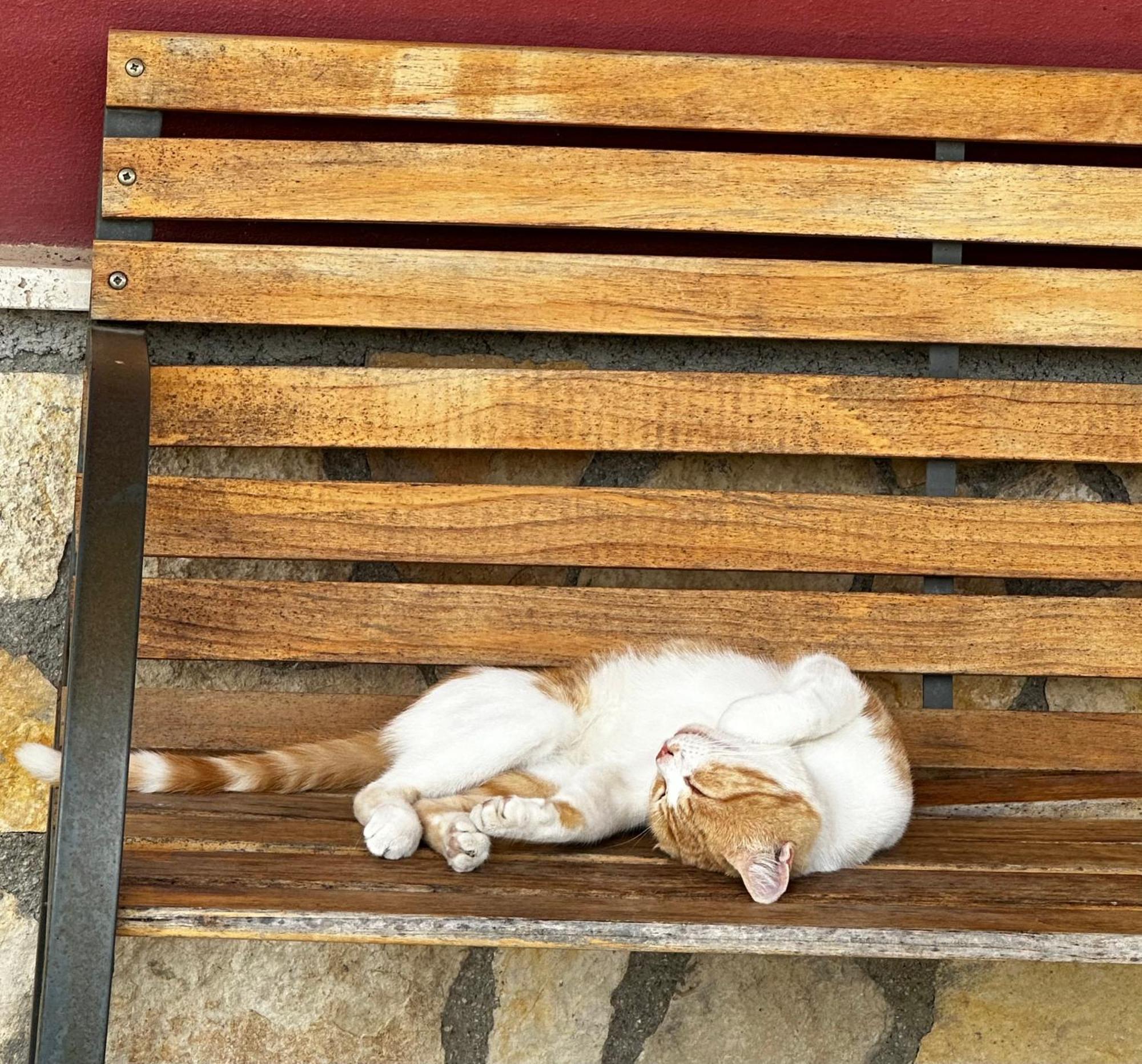 Agriturismo Serra Moneta Santo Stefano Quisquina Dış mekan fotoğraf