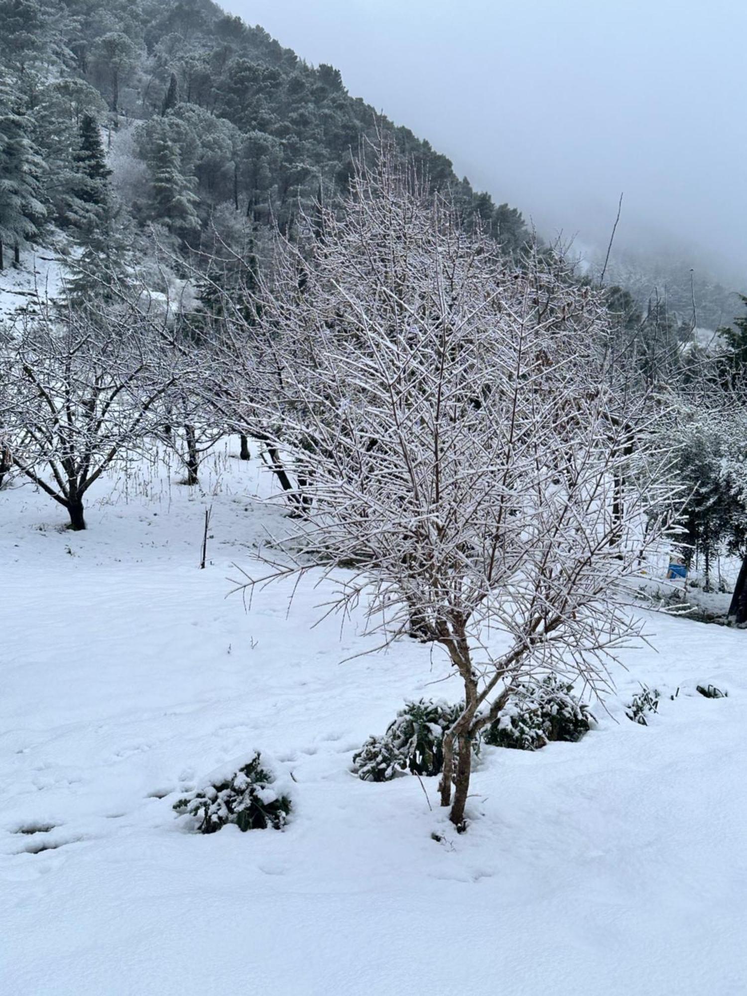 Agriturismo Serra Moneta Santo Stefano Quisquina Dış mekan fotoğraf